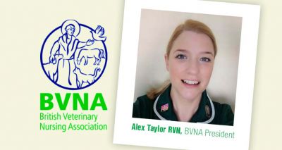 BVNA formally welcomes new president